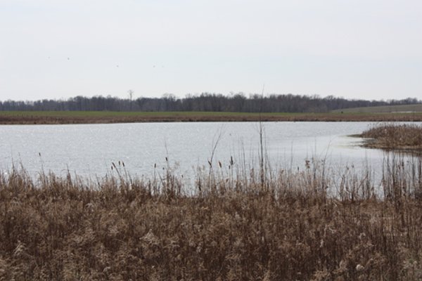194.67 Acres Offered in 2 Tracts